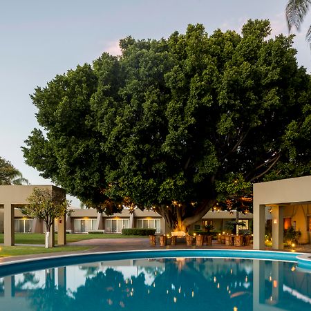 Camino Real Guadalajara Hotell Zapopan Eksteriør bilde The Banyan Resort